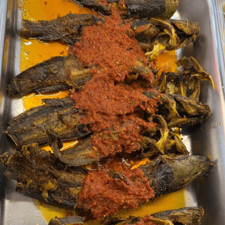 Ikan Keli Berlada