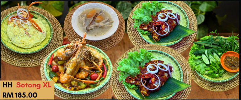 HH Sotong XL